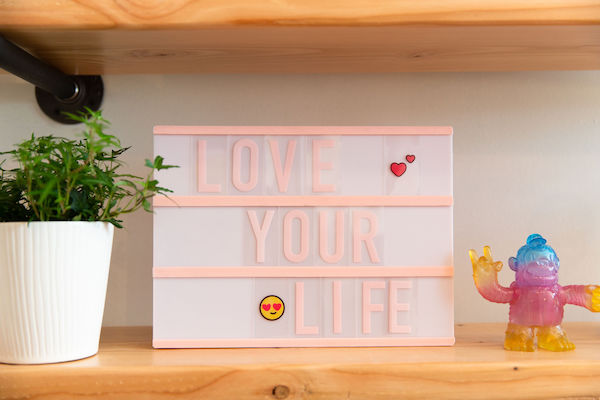 pink and white sign that says "love your life" on a bookshelf, next to a houseplant a rainbow-colored monkey