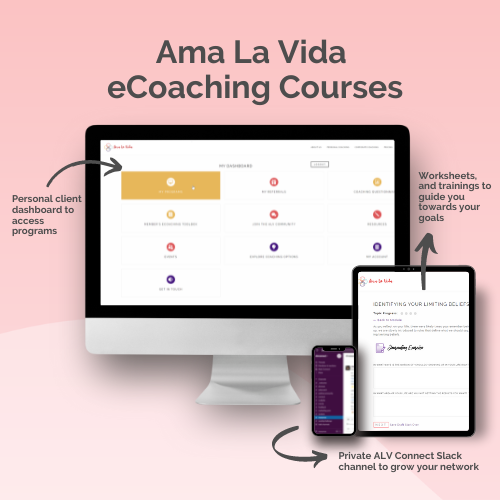 what's included in ecoaching courses