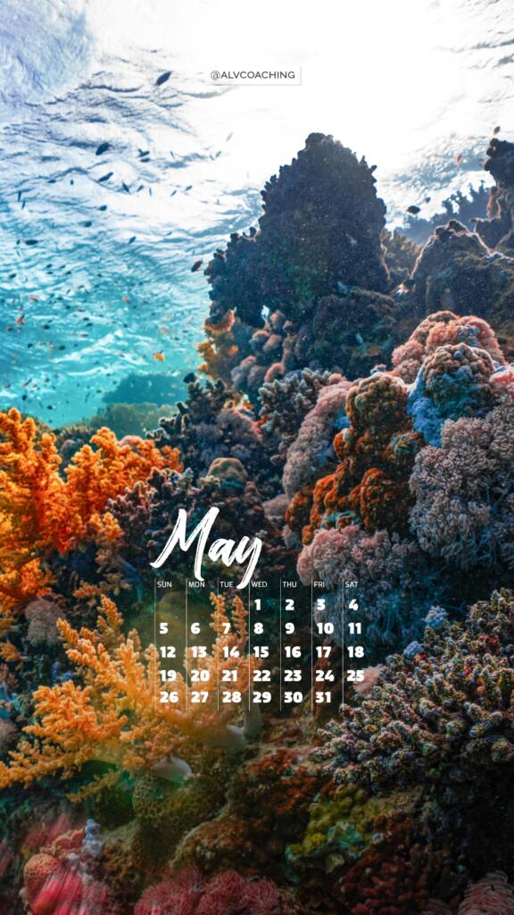 May calendar tech background for mobile with coral reef photo