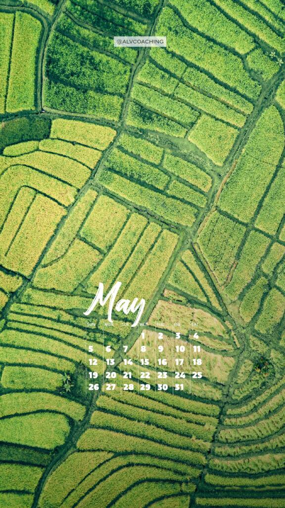 May calendar tech background for mobile with rice fields photo