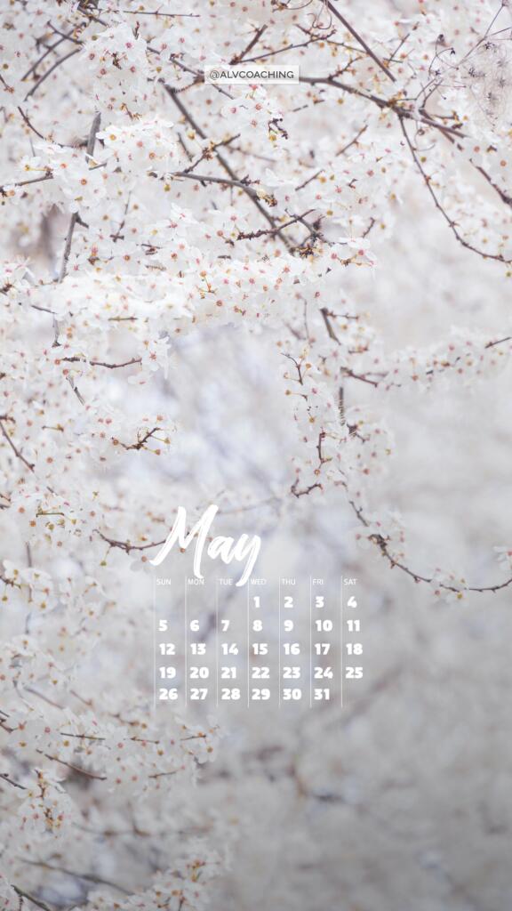May calendar tech background for mobile with spring blossom photo