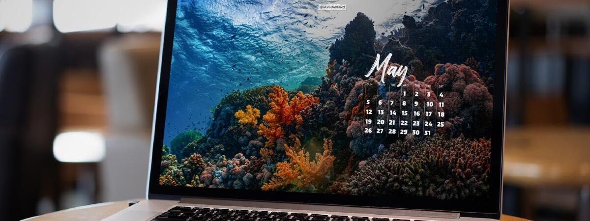 Laptop with May calendar tech background with coral reef photo