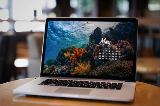 Laptop with May calendar tech background with coral reef photo