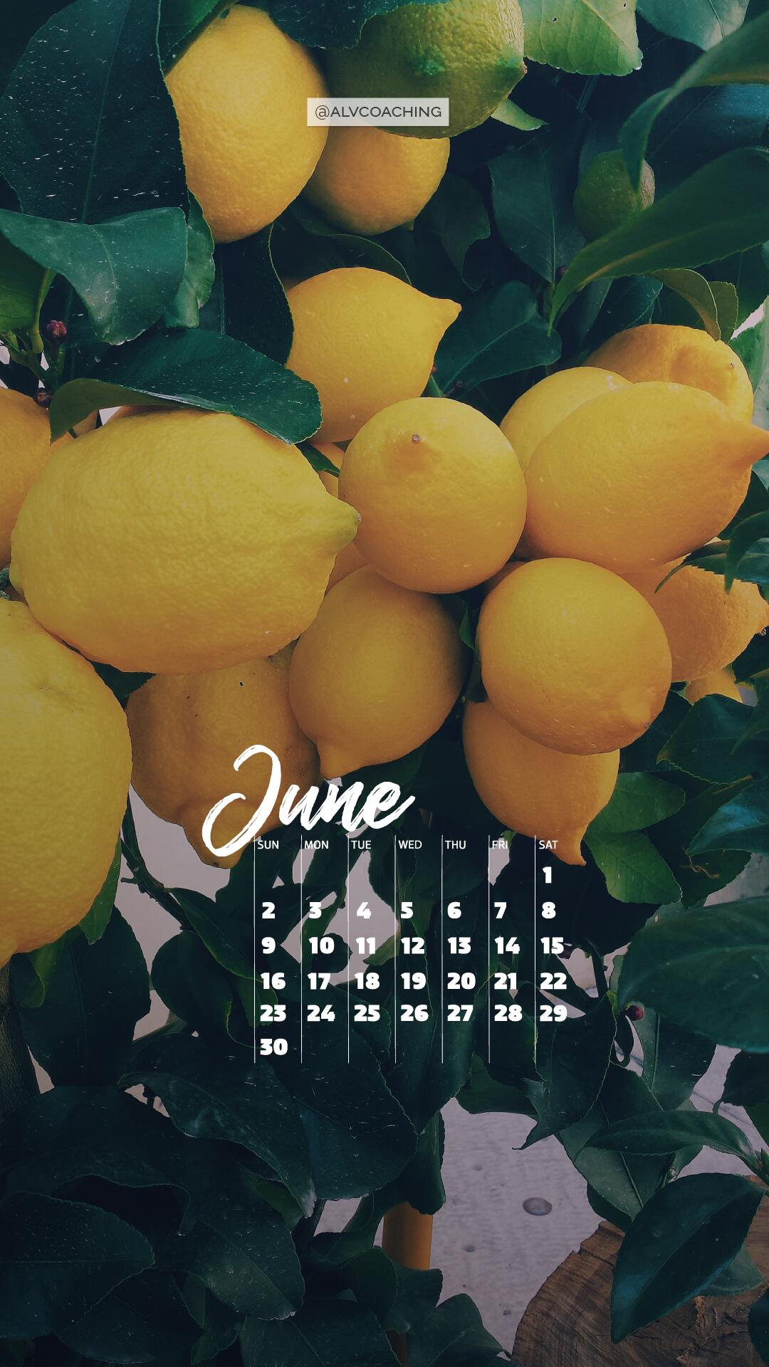 June 2024 calendar mobile background with lemon tree