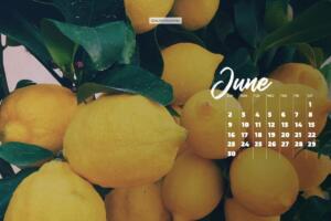 June 2024 calendar desktop background with lemon tree